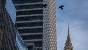Sustainable design of One Vanderbilt with view of NYC skyline, including the Chrysler Building, and birds in flight.